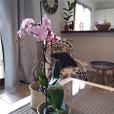 Avec Vue Imprenable Sur La Cite Καρκασόν