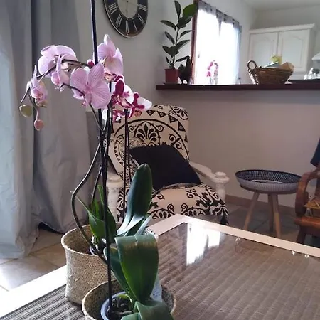 Gite Avec Vue Imprenable Sur La Cite Ferienhaus *