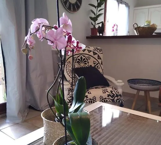 Avec Vue Imprenable Sur La Cite Carcassonne